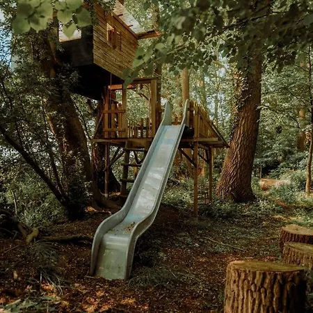 Kurzenmoor - Tenne Seester