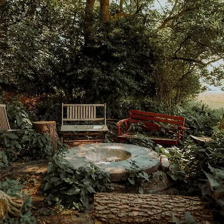 公寓 Kurzenmoor - Tenne *