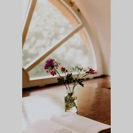 Kurzenmoor - Tenne 公寓 Seester